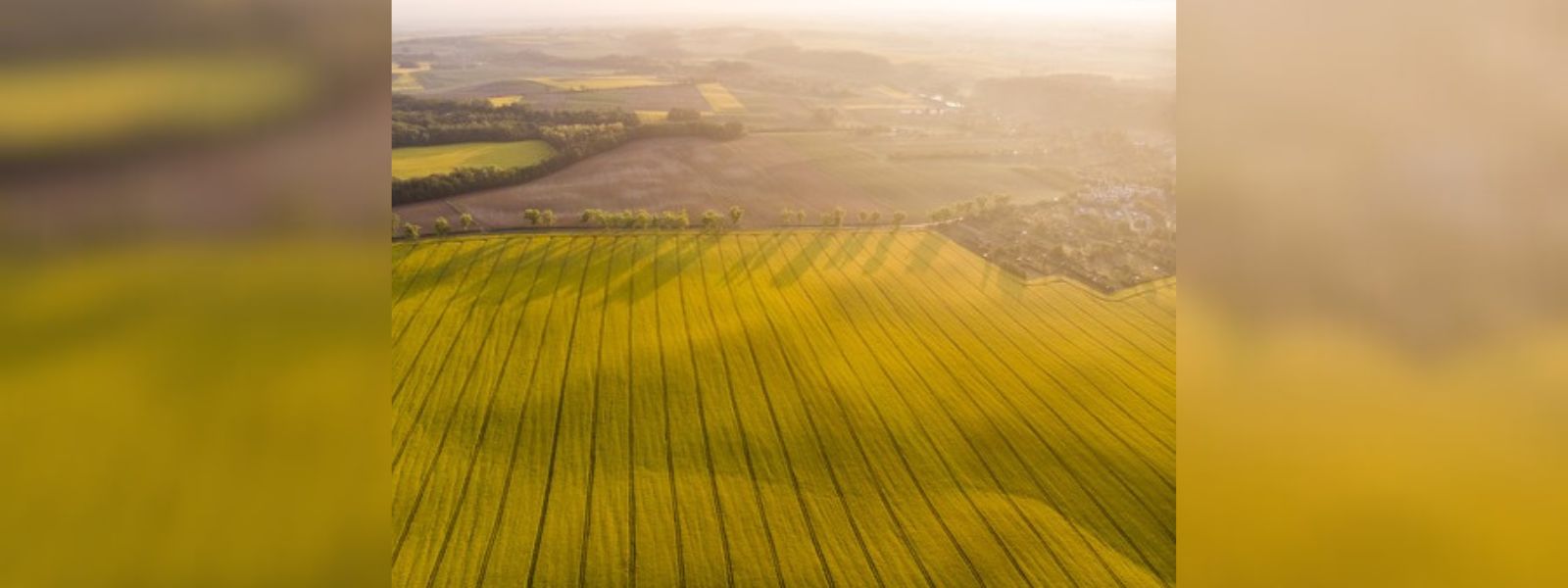 Drones to monitor crop damage from drought